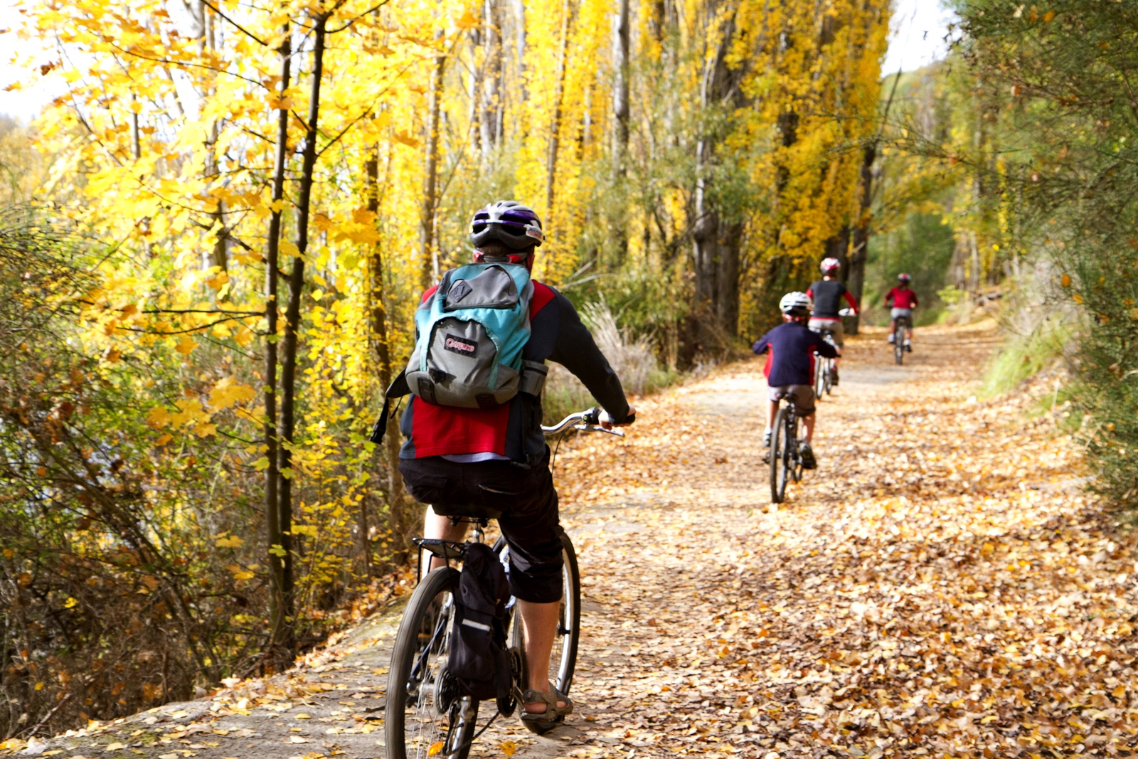 Otago Central Rail Trail cycling 4.jpg